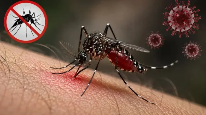 ডেঙ্গুতে আরও ৪ জনের মৃত্যু, হাসপাতালে ভর্তি ১৫১২