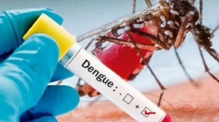ডেঙ্গুতে ৭ জনের মৃত্যু, হাসপাতালে ভর্তি ১ হাজার ৮৭২